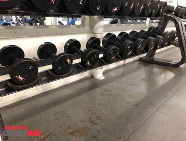 Umax dumbbells best sale