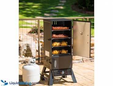Masterbuilt pro smoker dual fuel sales