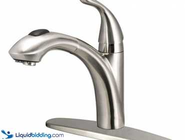 Liquidbidding Glacier Bay Keelia Pull Out Sprayer