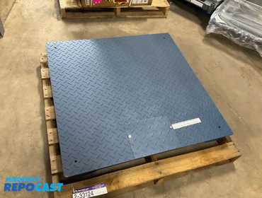 Repocast.com® | Inscale platform scale. Model: IN7620...