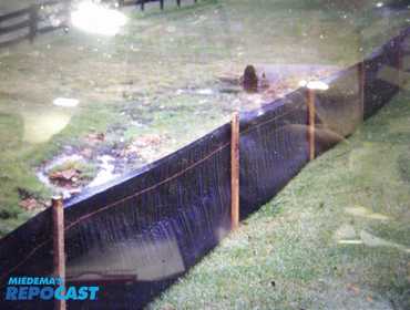 New Silt Fence, 2' ht, 100' length, 11 stakes, polypropylene, black