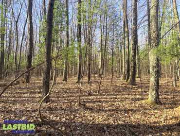 20 Acres of Wooded, Vacant Land in Manistee County, MI