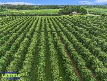 Approximately 8 Acres of Apple Trees on Highway M-140 in Eau Claire, MI