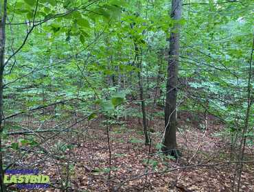 LASTBIDrealestate.com Online Auction of Lots 234 and 235 in Hawk's Eye Golf Association on October 1, 2025