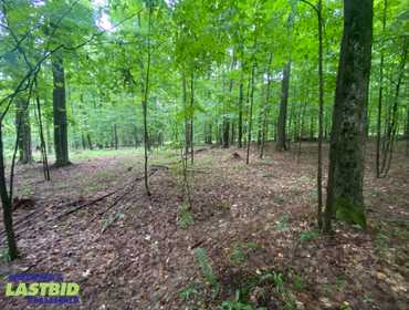 LASTBIDrealestate Online Auction October 7, 2025 of Lot 250 In Hawk's Eye Golf Association 