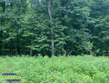 LASTBIDrealestate.com Online Auction on October 7, 2025 of Lot 244 in the Hawk's Eye Golf Association