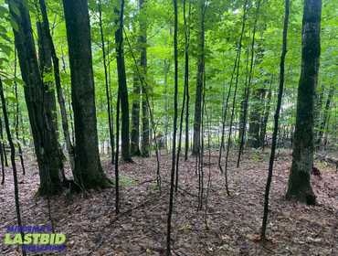 LASTBIDrealestate.com Online Auction of Lots 232 and 233 in the Hawk's Eye Golf Association on October 1, 2025