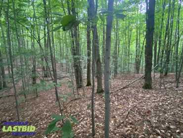 LASTBIDrealestate.com Online Real Estate Auction of Lot 104 in Hawk's Eye Golf Association on October 1, 2025