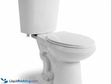 glacier bay toilet 215583